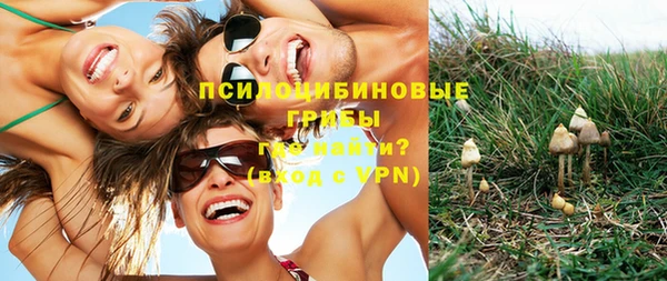 бошки Алексеевка