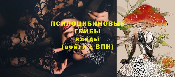 бошки Алексеевка