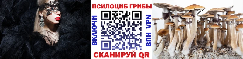 Псилоцибиновые грибы Psilocybe Крымск