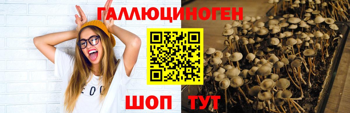 Псилоцибиновые грибы мицелий  закладка  Крымск  Вход с VPN 